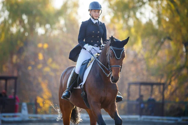 秋の馬術の馬場馬術テストで10代の女の子乗馬馬 — ストック写真