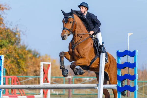 若いですスポーツマンライディングザソレル馬ジャンプ障害物の上にジャンプ競争 — ストック写真