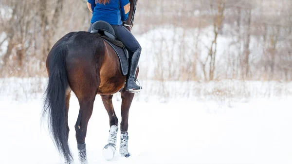 Sport équestre ou équitation concept d'hiver image avec espace de copie — Photo