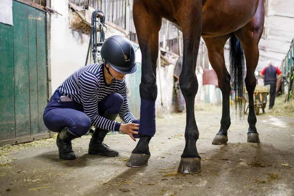 Młoda Dziewczyna Jeździec Bandażowanie Końskie Nogi Przed Treningiem Lub Konkurencji Zdjęcia Stockowe bez tantiem