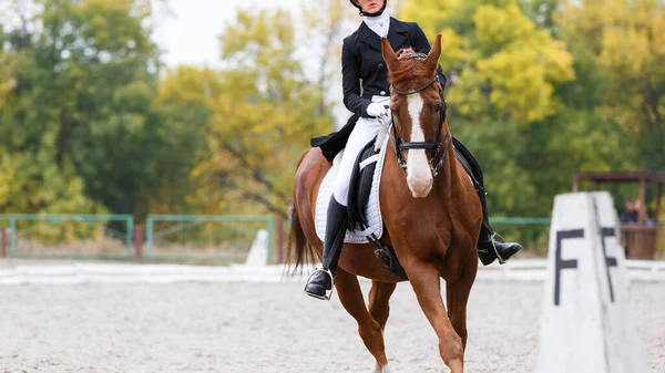 Young Teenage Girl Riding Sorrel Horse Dressage Equestrian Event — ストック写真