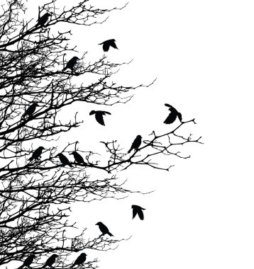 Tree silhouette with birds
