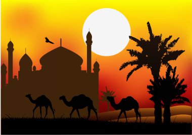 caminin arka plan ile deve gezisi