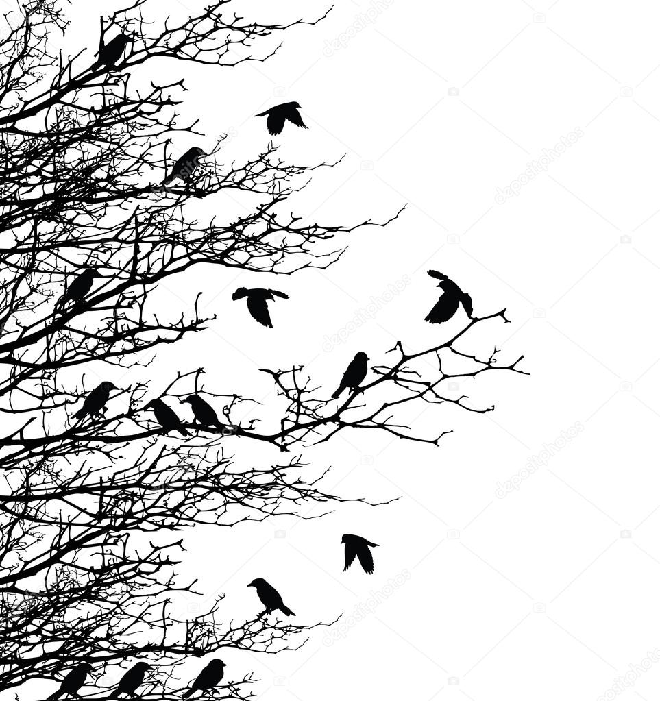 Tree silhouette with birds