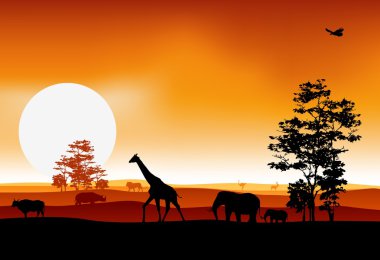 Güzellik siluet safari hayvan yaban hayatı