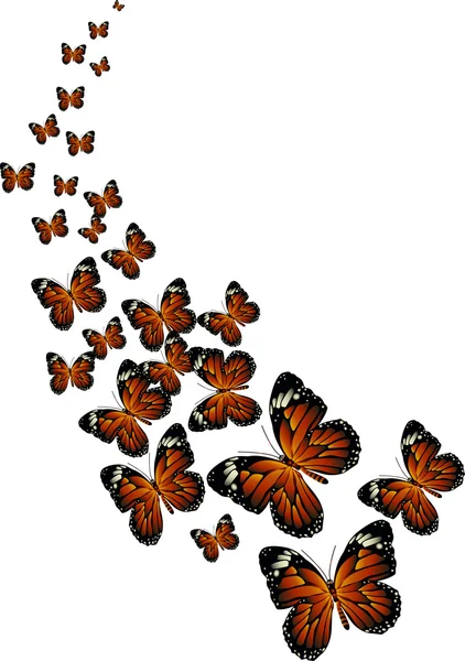 Bela ilustração borboleta — Vetor de Stock