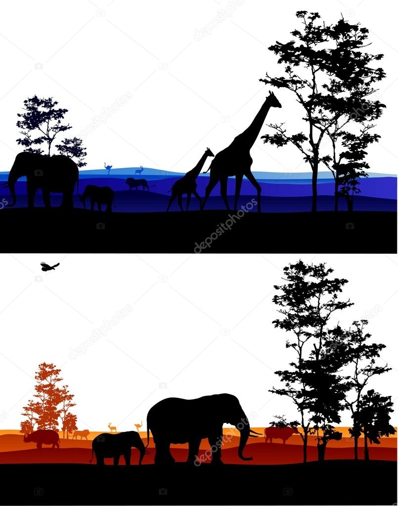 Silhouette of safari animal wildlife