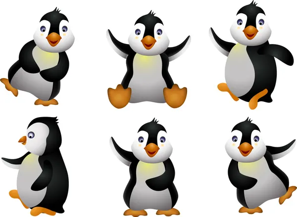Young penguin set character — Stock Vector