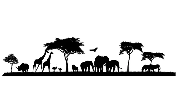 Schoonheid silhouet van safari dieren wildlife — Stockvector