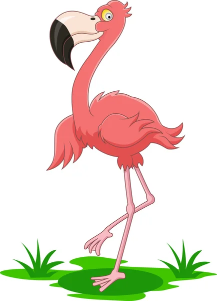 Flamingo Cartoon — Stock vektor