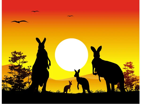 Silhouette der Känguru-Familie — Stockvektor
