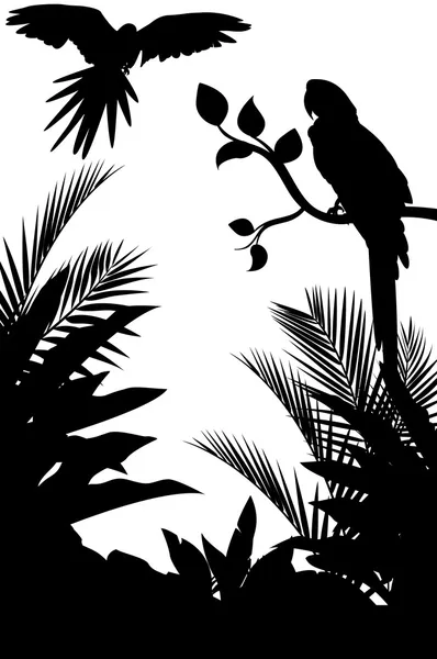 Silueta papoušek a tropických lesů pozadí — Stockový vektor