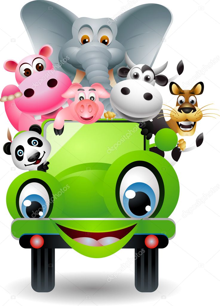 Cute animal on green car
