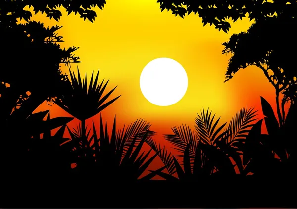 Silhouette jungle beauté — Image vectorielle
