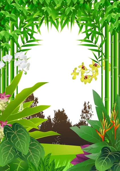 Fondo forestal tropical — Vector de stock