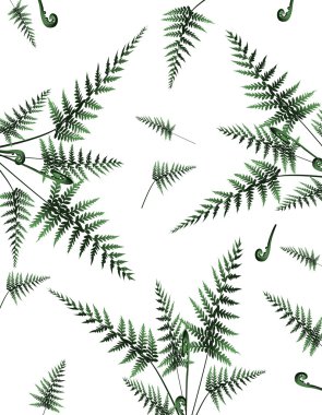 fern ile güzel arka plan