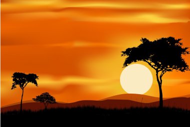 güzel gün batımı arka plan