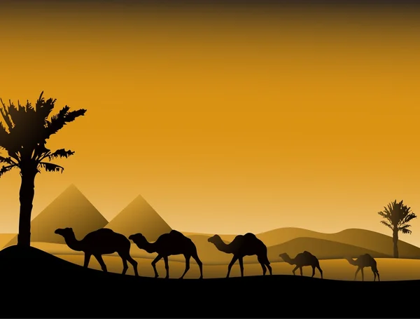 Piękna sylwetka wielbłąd podróży — Wektor stockowy