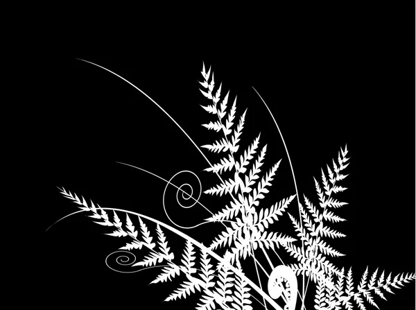 Silueta vectorial de hierba con helecho — Archivo Imágenes Vectoriales