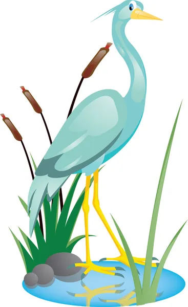 Beautiful heron — Stock Vector