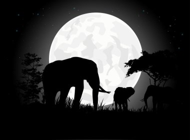 Dev ay geçmişi olan güzel fil aile silhouettes