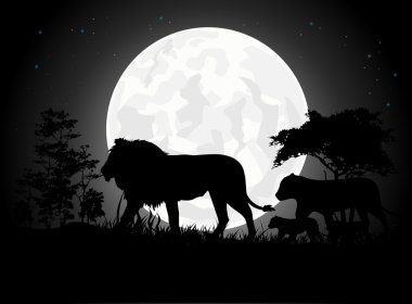 Dev ay geçmişi olan güzel aslan ailesi silhouettes