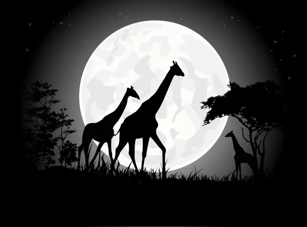 美丽的长颈鹿家庭剪影与巨型月亮背景 — 图库矢量图片