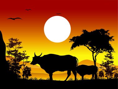 buffalo ve inek manzara arka plan ile güzellik sillhouette