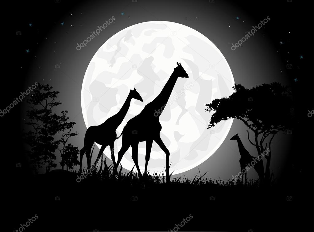 Beautiful Giraffe family silhouettes with giant moon background