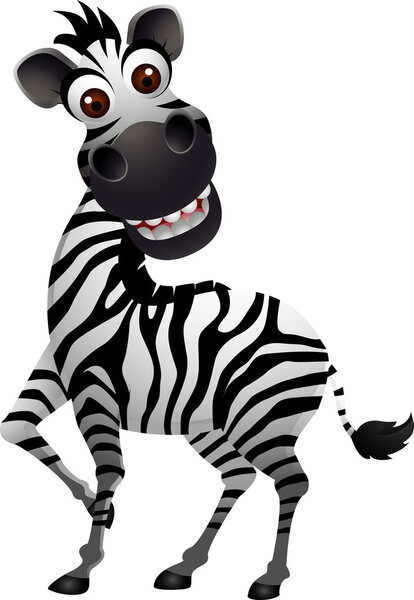 Смешная зебра
