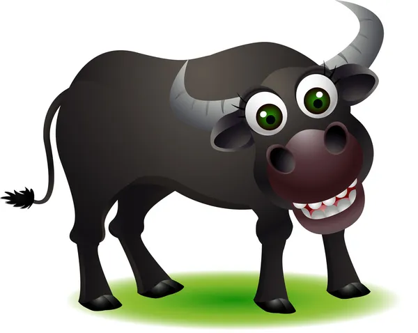 Búfalo bonito — Vetor de Stock