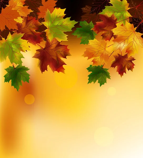 Fondo de otoño con hojas — Vector de stock