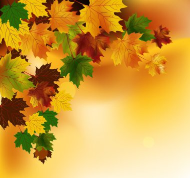 Yapraklı sonbahar arkaplanı