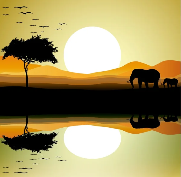 美容野生动物园的大象与风景背景 — 图库矢量图片