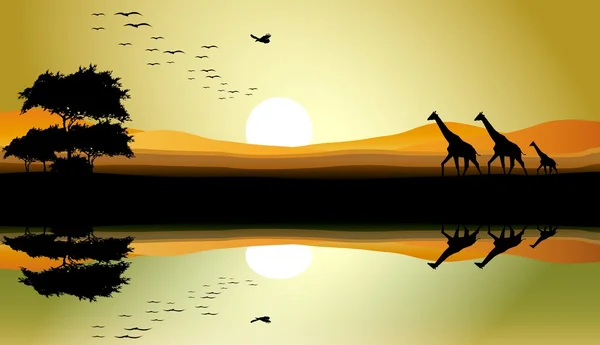 Schoonheid safari van giraffe met landschap achtergrond — Stockvector