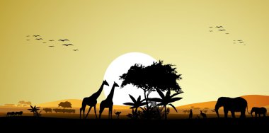 Güzellik siluet safari hayvan yaban hayatı