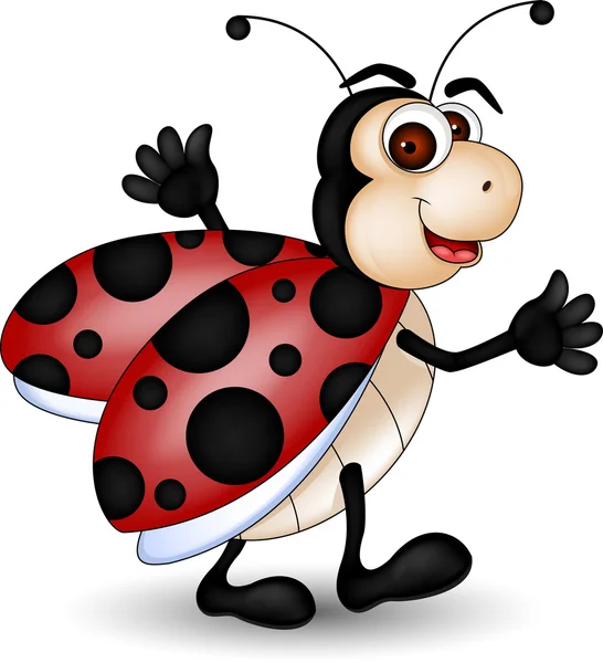 Funny Ladybug cartoon — Stock Vector