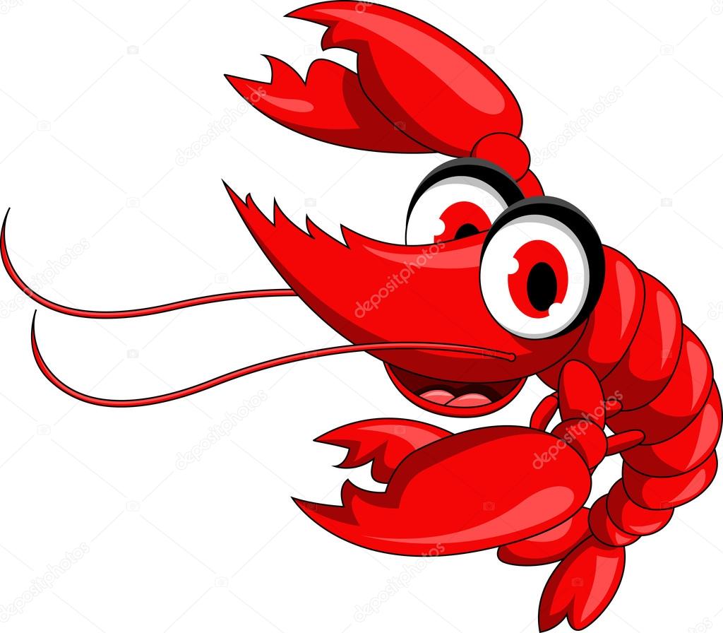 Funny red shrimp cartoon