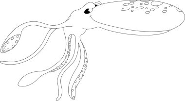 şirin kalamar dövme