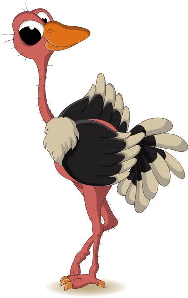 Desenhos animados de avestruz bonito — Vetor de Stock