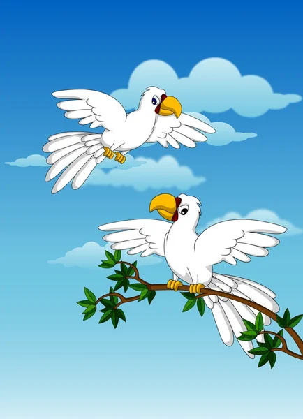 Leuk paar witte parrot — Stockvector