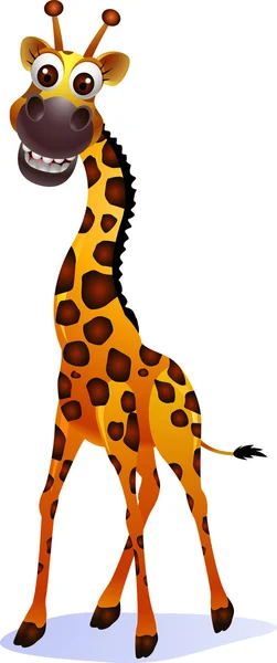 Carino giraffa cartone animato — Vettoriale Stock