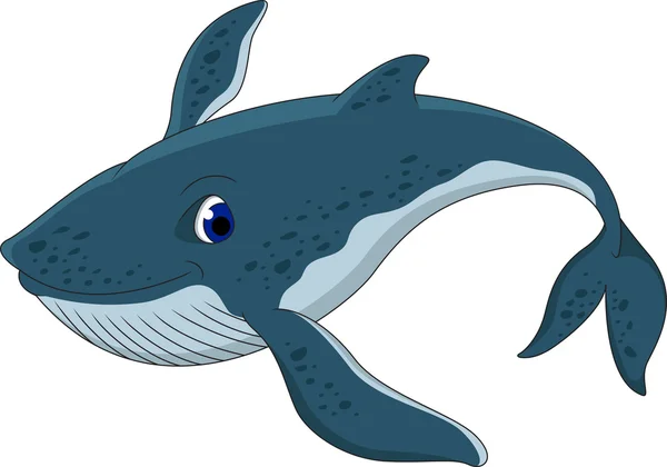 かわいいシロナガスクジラ漫画 — ストックベクタ