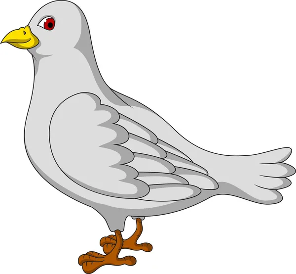 Witte duif cartoon — Stockvector