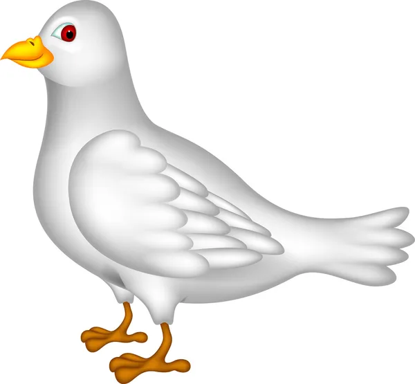 Bianco colomba cartone animato — Vettoriale Stock