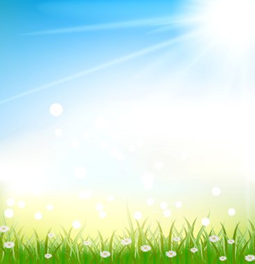 çim ve ışık efektleri ile çim arka plan