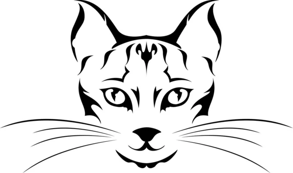 Sød kat tatovering – Stock-vektor