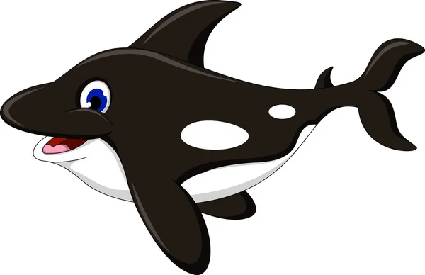 Killer whale cartone animato — Vettoriale Stock