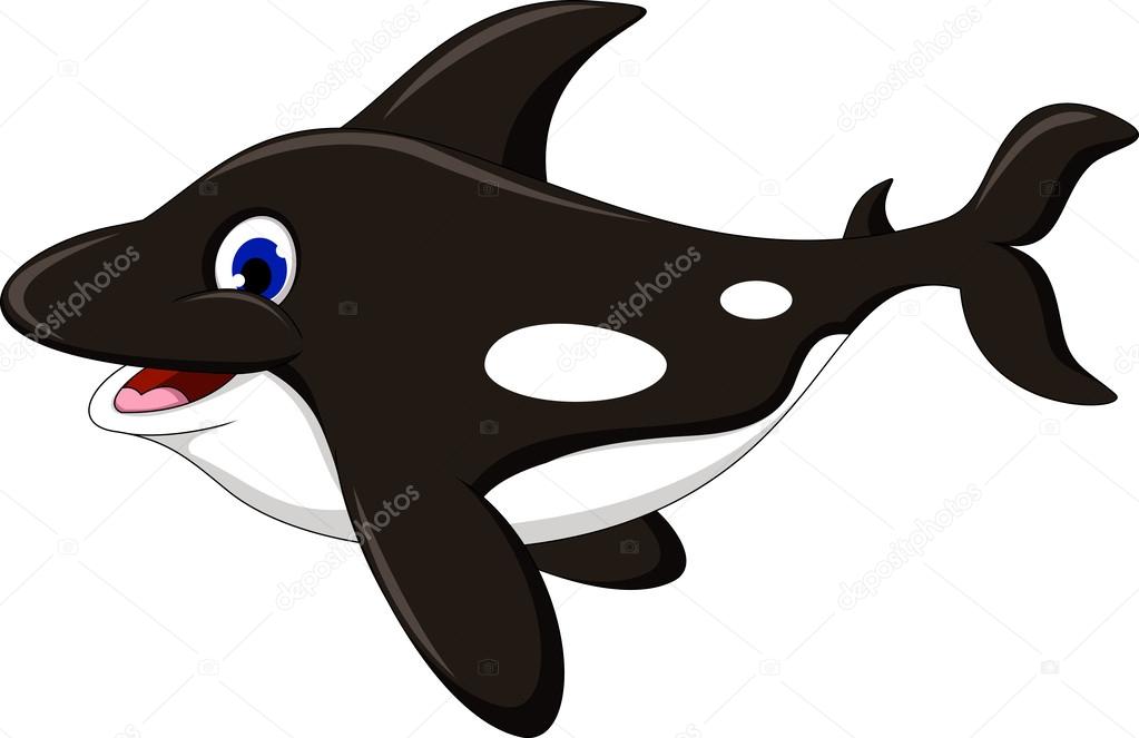 dibujos animados de orcas — Vector de stock © starlight789 #32937693