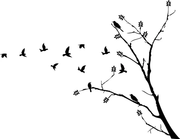 Oiseau volant autour d'une branche d'arbre — Image vectorielle